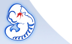 Vista Enhancer Logo